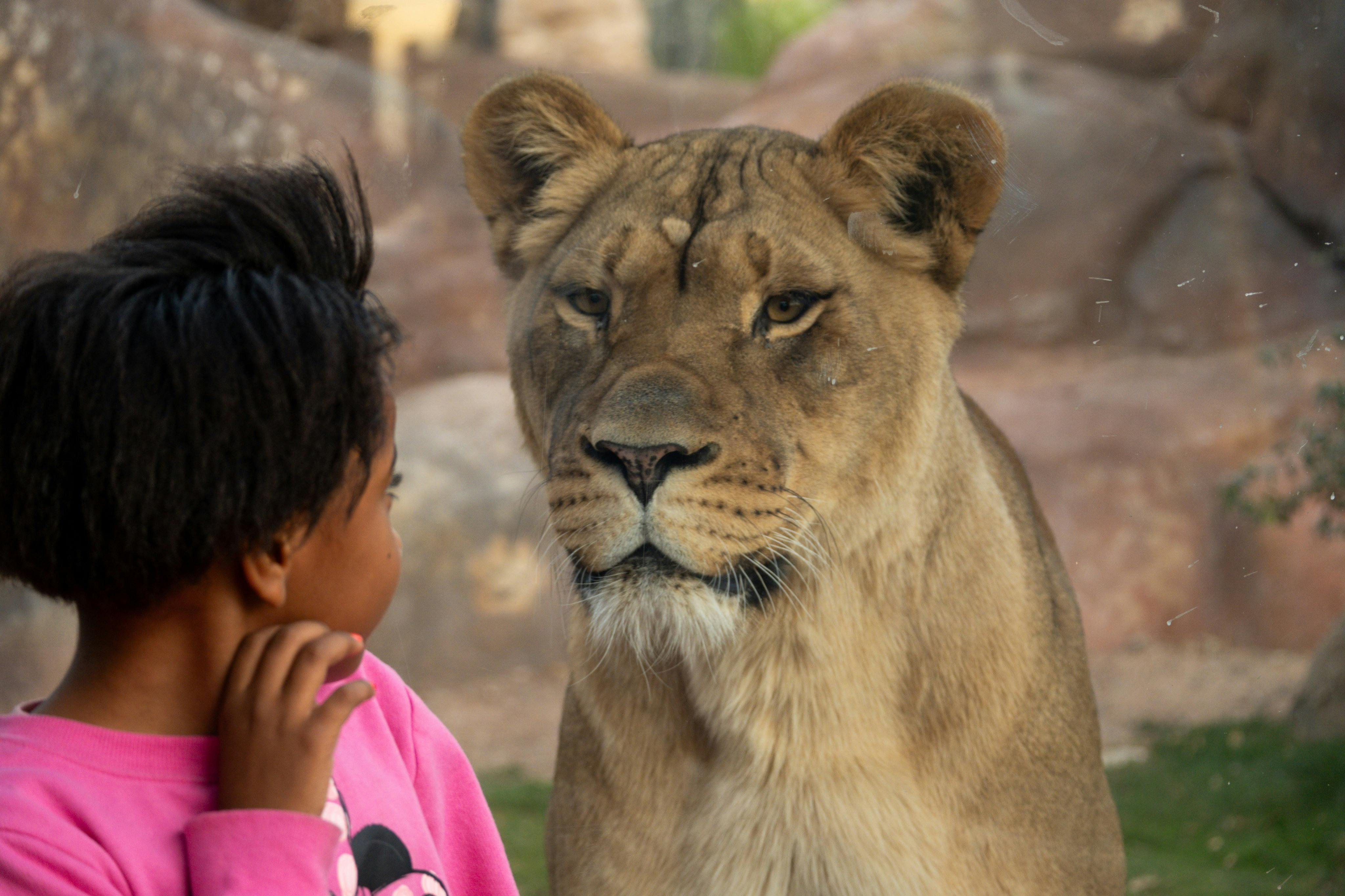 Phoenix Zoo: Entry Ticket - Photo 1 of 22